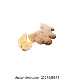 ginger plant vector type icon