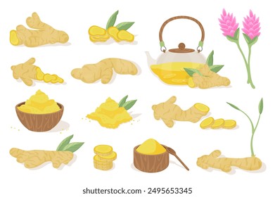 Ginger product mega set elements in flat cartoon graphic design. Bundle objects of raw roots, slices, spicy tea in teapot, powder in wooden bowl, sprout, leaves, flower, other. Vector illustration.