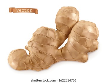 Ginger Root. 3d Realistic Vector