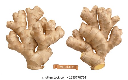 Ginger Root. 3d Realistic Vector Objects. Food Illustration