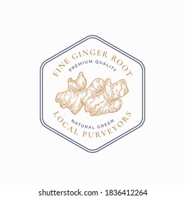 Ginger Root Abstract Vector Sign, Symbol or Logo Template. Hand Drawn Edible Plant Sillhouette Sketch with Elegant Retro Typography in a Frame Badge. Vintage Emblem. Isolated.