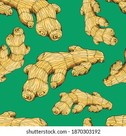 Ginger root. Asian Chinese traditional medicine. Herb. Whole  root. Spicy condiment. Seamless background with pattern.
