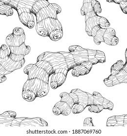 Ginger root. Asian Chinese traditional medicine. Herb. Whole plant, cuted root, sliced pieces, dry powder, flower, leaves. Spicy condiment. Seamless background with pattern. Hand-drawn ink sketch.