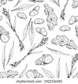 Ginger root. Asian Chinese traditional medicine. Herb. Whole plant, cuted root, sliced pieces, dry powder, flower, leaves. Spicy condiment. Seamless background with pattern. Hand-drawn ink sketch.