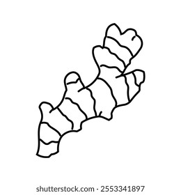 raiz de gengibre ayurvédico ícone da linha da erva vetor. ginger raiz ayurvédico sinal da erva. isolado contorno símbolo ilustração preta