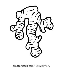 Ginger root cartoon icon. Harvest food outline comic style image. Hand drawn isolated lineart illustration for prints, designs, cards. Web and mobile clipart