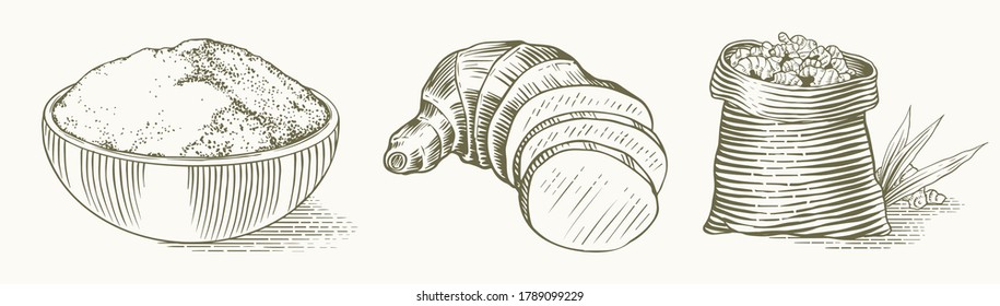 Raíz de jengibre, rizoma picado, planta fresca y bolsa. Esbozo dibujado a mano grabado por el vector. Piezas de juego de ingredientes. Especie desconcertante. 