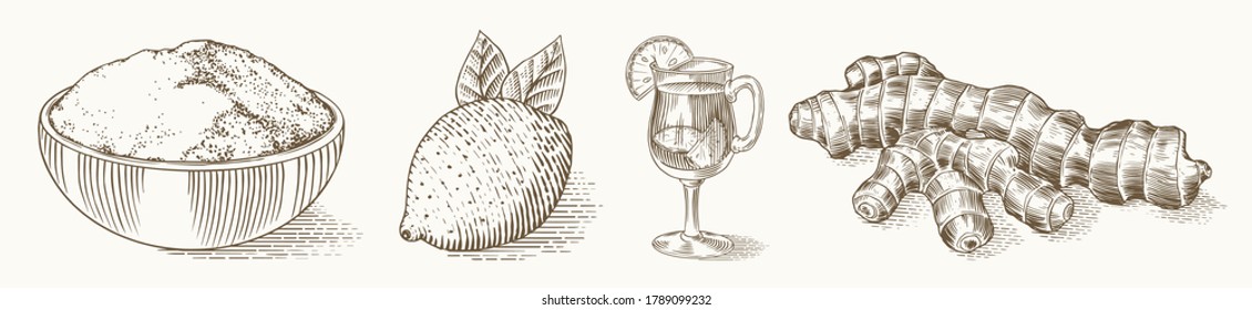 Raíz de jengibre, rizoma picado, planta fresca, Bolsa y té en vaso de vidrio. Esbozo dibujado a mano grabado por el vector. Piezas de juego de ingredientes. Especie desconcertante. 