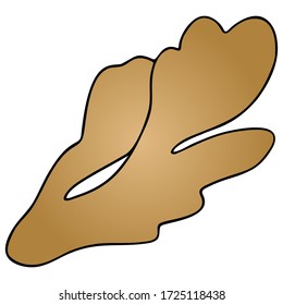 Ginger Root. Color vector illustration. It is used in medicine and in cooking. Root crop on an isolated background. Cartoon style. Spice. Idea for web design, menu.