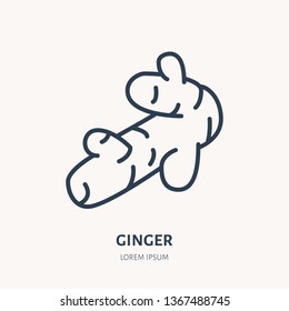 Ginger root flat line icon. Medicinal plant, spice vector illustration. Thin sign for herbal medicine.