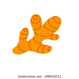 Ginger root flat vector illustration