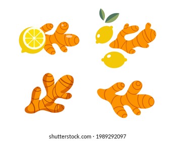 Ginger root flat vector illustrations set