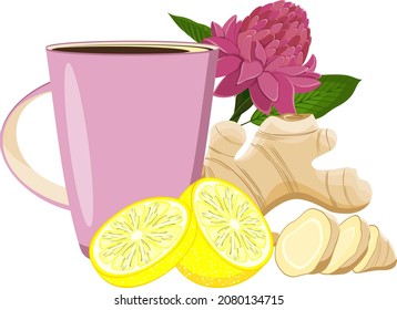
Raíz y flor de jengibre, limón y taza de té caliente. Curando bebida con jengibre y limón. Ilustración en vector