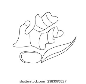 Ginger root . Fresh natural healthy vegetarian food. Medical plant. Cooking ingredient .Vector illustration on white background