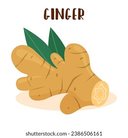 Ginger root with green leaves isolated on white background.