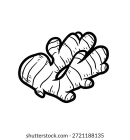 Ginger Root Hand Drawn Icon spice herb