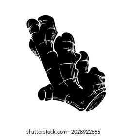 Ginger root hand drawn vector illustration. Black silhouette sketch clipart. Traditional medicine herbs and spice.