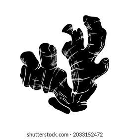 Ginger root hand drawn vector illustration. Black silhouette sketch clipart. Traditional medicine herbs and spice.