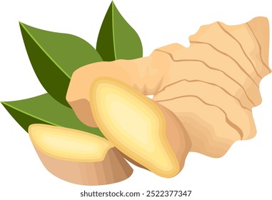 Ginger Root Herb with Leaves Illustration Isolated on White Background