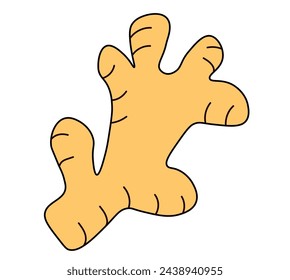 Ingwerwurzel. Kräutergewürz. Detox-Lebensmittelzutat. Einfacher Doodle-Stil. Flache Vektordarstellung.