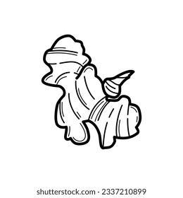 Ginger root icon design isolated on white background