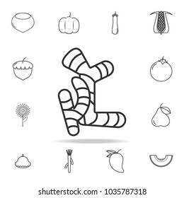 Ginger root icon. Set of fruits and vegetables icon. Premium quality graphic design. Signs, outline symbols collection, simple thin line icon for websites, web design, mobile app on white background