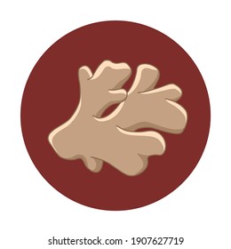 Ginger root icon, spicy herb design for food packaging, vector illustration