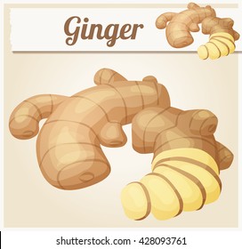 Ginger root illustration. Cartoon vector icon. Series of food and ingredients for cooking.