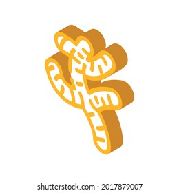 ginger root isometric icon vector. ginger root sign. isolated symbol illustration