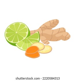 Ginger root, lime and turmeric slice isolated on white background. Tea or lemonade ingredient, alternative medicine, flu treatment vector flat illustration