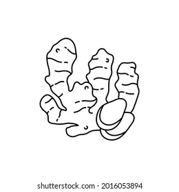 Ginger root сolor line icon. Essential oils fruit seeds. Pictogram for web page, mobile app, promo. UI UX GUI design element. Editable stroke.