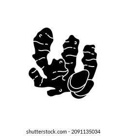 Ginger root сolor line icon. Essential oils fruit seeds. Pictogram for web page, mobile app, promo. UI UX GUI design element. Editable stroke.