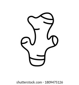 Ginger root. Linear vegetable tuber icon. Black illustration of fresh ingredient for cooking, healthy spice for drink. Contour vector, white background. Emblem for packaging juice, extract, cosmetics