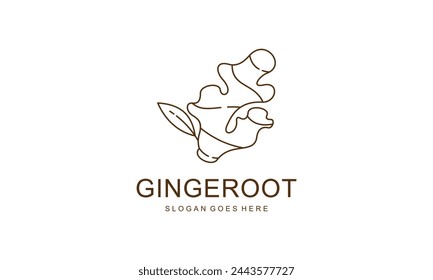 Diseño de Logo de Ginger Root. Vector de especias de hierbas aislado sobre fondo blanco