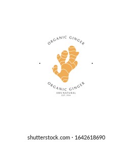 Ginger root. Logo template. Isolated ginger on white background