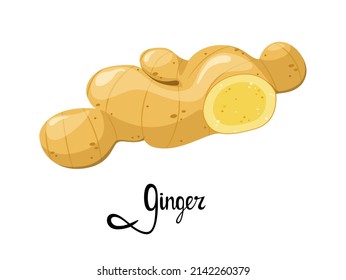 Ginger root on a white background. Spice. Cartoon design.
