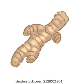 Ginger root on white background
