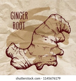 Ginger root over vintage brown crumpled paper background with brush stroke. Hand drawn sketch herbs and spices vector engraving illustration.