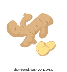 Ginger, root and pieces. Spice for making tea, mulled wine, gingerbread, ginger ale. Immunity enhancement, body cleansing, Chinese medicine. Vector flat illustration, cartoon style.