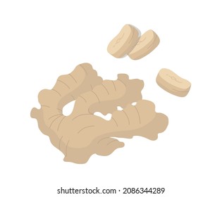 Ginger root and pieces. Spices. Antiflu. Isolated vector colorful element. 