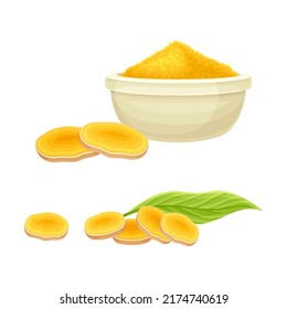 Ginger root products set. Pieces and powder of aromatic herbal plant vector illustration