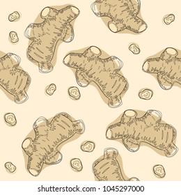 Ginger root seamless pattern. Hand drawn vector illustration