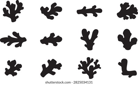 Ginger root silhouette set with twelve black botanical food ingredient designs for packaging