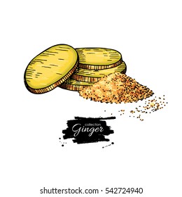 Ginger root sliced pieces with powder heap. Vector hand drawn illustration. Artistic style flavor. Herbal spice. Detox food ingredient.