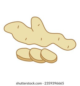 Ginger root with slices, doodle style vector