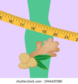 Ginger root, slices, leaves, measuring tape, silhouette of a female figure - vector. Healthy food concept