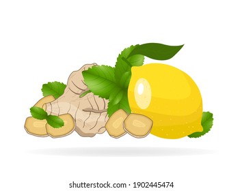 Ginger root slices, lemon, mint leaves on white background. Vector illustration of natural home remedies, flu treatment. Elements for menu, wrapping paper, cosmetics packaging, posters 