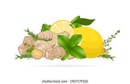 Ginger root slices, lemon, mint leaves, thyme and cane sugar. Vector illustration on white background. Natural home remedies, cold and flu treatment. 
