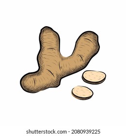 Ginger root with slices on a white background. Vector illustration