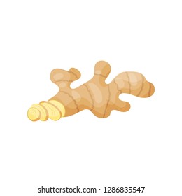 Ginger root with small cutted slices. Organic product. Healthy nutrition. Natural food. Flat vector design